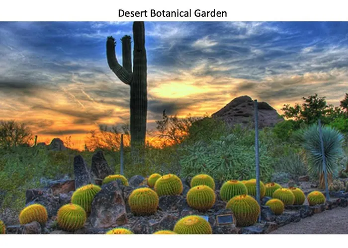 Spacious Stunning Ranch House, Hot-tub And Private Basketball Court, Near Westworld, Tpc Apartment